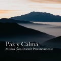 Meditacion calmada - Meditacion pura
