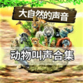 微风拂面 - 第051集 助眠催眠-鹦鹉叫声