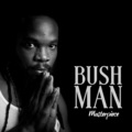Bushman - Arms of a Woman