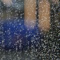 Calming Rainforest Sounds、Relaxing Rain Sound、Rain Sound - Better sleep rainfall sound