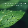 Reiki Consorte de Curación、Sonidos de la Naturaleza Relax、Sonidos de la Naturaleza Ruido Blanco Para Bebes - Lluvia En La Corriente