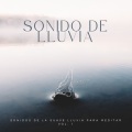 Ondas Alfa、Relajación Piano、Música de relajación profunda - Nubes Lluviosas