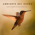 Música ambiental relajante、Sonidos Relajantes de Naturaleza、Dormir - Ducha Tropical