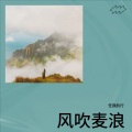 任我航行 - 风吹麦浪