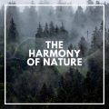 Rainforest Sounds - Underneath