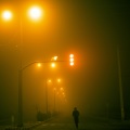应嘉俐 - 越夜越有机