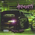 Reckless - ANIMOSITY (Explicit)