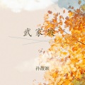 孙靓颖 - 武家坡