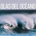 Música de la Naturaleza、Reiki y Tai Chi Armonía、Yoga Meditación - Legado