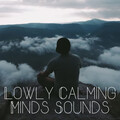 The Focus and Meditation Boys、The Binaural Mind、Music for Work - Calming Anxiety