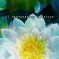 Yoga Soul - Freshly Enlightened