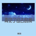 琳柒 - 再见了过去的我 (伴奏)