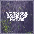 Loopable Rain Sounds - It's Raining, Pt. 15