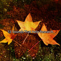 Yoga Soul - Rebalance Yourself