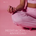 Paz Interior、Ahora: Relajante、Musica para Concentrarse - Pájaros En El Sol