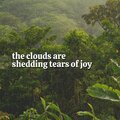 Loopable Rain Sounds - It's Raining, Pt. 13