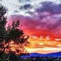 胡光渝 - 街头缘