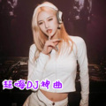 浅月 - 等我把我养的人养大 (DJ默涵版)