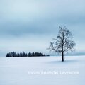 The Paradise - environmental lavender