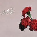 凌温柔 - 长腿叔叔