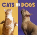 Dog Therapy Music、Pure Ambient Music、Music for Dogs Moments - Good Boy