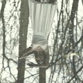 Kate Tucker - It's True