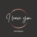 Aerospace - Vacuous Naive Public