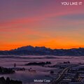 Micidial Corp - You Like It
