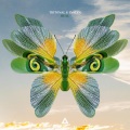 Tritonal、Evalyn - Real