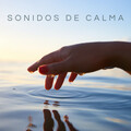 Música Para La Relajación、Playlist Musica para Leer、Relájate Ruido - Viaje Drone