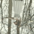 Kate Tucker - In Your Arms