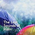 Rainfall Meditations - Despite Raining Outside