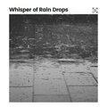 Clear Mind Raining - Clear Mind Rain, Pt. 6