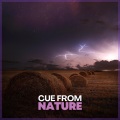Stormy Station - Calm Rains with Musical Melodies, Pt. 36