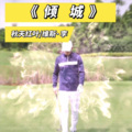 维斯李 - 倾城