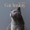 Animal Melody Wizard - Calm White Noise For Cats