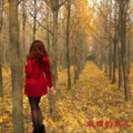 妩媚的风儿 - 甜甜小妹 (妩媚的风儿 remix)