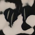 Carlos Cipa - Took