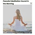 Meditation Music Club - French Museum