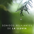 Descansa、Música para Dormir Con Relajantes Sonidos de la Naturaleza、Relajante - Lluvia De Fin De Semana