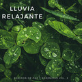 Sonidos De Lluvia y Tormentas、Fabricantes De Lluvia、La mejor musica instrumental - Lluvia En El Techo