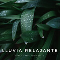 Sonidos de lluvia y ruido de fondo、El Ruido Blanco、Agua Mantra - Lluvia En Bel Air