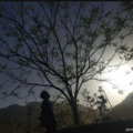 E苟歌 - 陪着你走