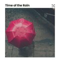 Relaxing Rain Sounds - 20 Rain Sounds, Pt. 5