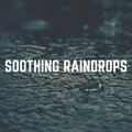 Clear Mind Raining - Sheltered from the Rain, Pt. 30