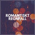 Rain Sounds - Manhattan Raining