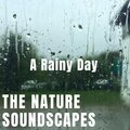 The Nature Soundscapes - Rain Meditation
