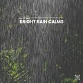 Rain for Deep Sleep - Fall Rain, Pt. 23