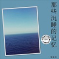 落星羽 - 遗憾的过客