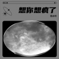 雷启明 - 想你想疯了